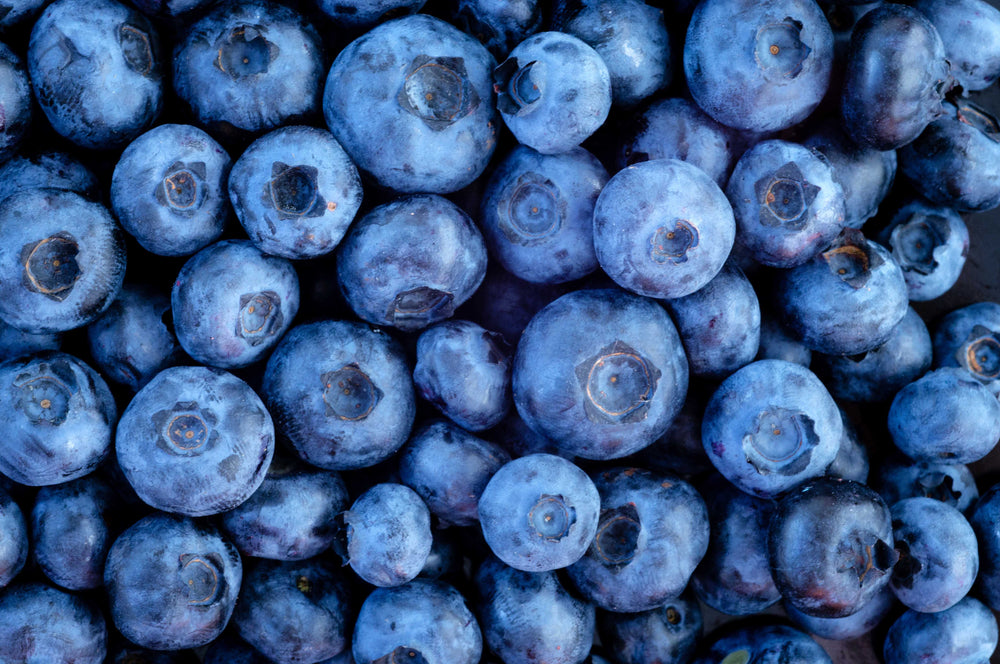A pile of blueberries A