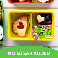 Load image into Gallery viewer, Fiber Fun Size Fruit Bar Variety - Mixed Berries &amp; Banana (24 Bars)
