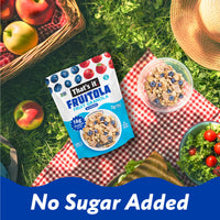 Load image into Gallery viewer, Blueberry Fruitola Fruit Granola (3 Packs) - 7oz
